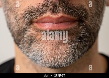 Gros plan de l'homme barbu avec une barbe grise Banque D'Images