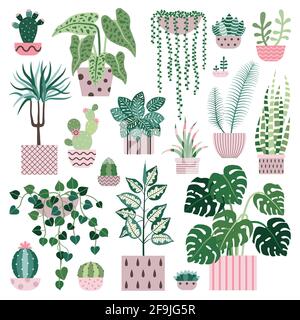 Plantes de maison Cacti et pots de fleurs de sucre Illustration de Vecteur