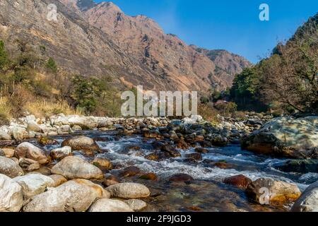 Un ruisseau de montagne, Pekhri, vallée de Tirthan, Himachal Pradesh, Inde Banque D'Images