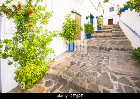 Belle allée avec pots de fleurs à Genalguacil, Malaga, Espagne Banque D'Images
