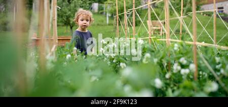 Portrait d'une petite fille marchant dans un jardin potager, mode de vie durable. Banque D'Images