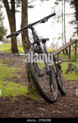 détails d'une bicyclette penchée contre une main courante en bois au milieu d'une forêt, activités saines Banque D'Images