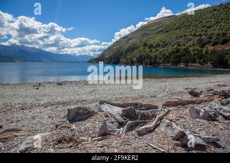 Driftwood sur la rive du lac Wanaka en Nouvelle-Zélande Banque D'Images