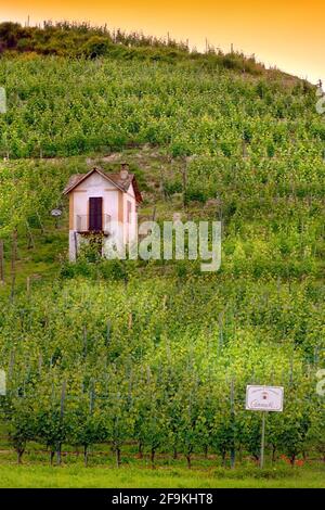 Vue sur la colline de Barolo Cannubi, vignobles de Langhe Roero Monferrato, patrimoine mondial de l'UNESCO dans le Piémont, Italie. Banque D'Images