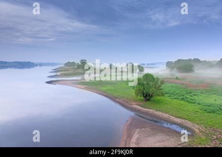 Brume au lever du soleil à la Réserve de biosphère de l'UNESCO Paysage de l'Elbe / Biosphärenreservat Niedersächsische Elbtalaue au printemps, Basse-Saxe, Allemagne Banque D'Images