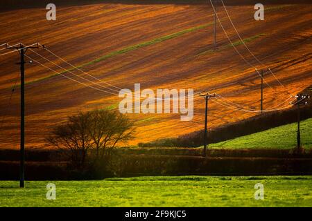 Câbles électriques dans le domaine agricole Banque D'Images