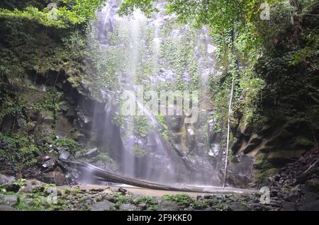 Il y a une chute d'eau de 20 mètres dans la forêt de l'écosystème de leuser, pour être précis à la dynamique de recherche de soraya. Banque D'Images