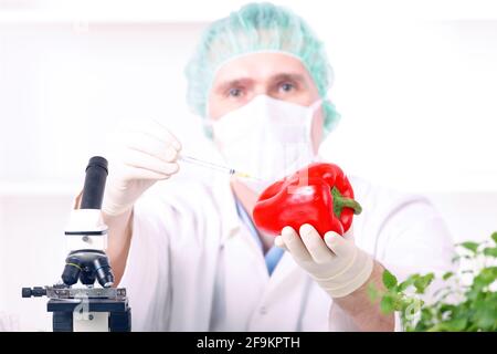 Chercheur avec des plantes OGM. L'organisme génétiquement modifié ou GEO est une plante dont le matériel génétique a été modifié à l'aide de la technique de génie génétique Banque D'Images