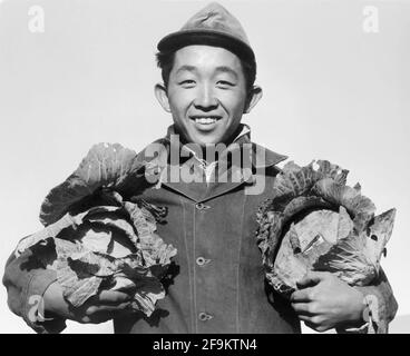 Richard Kobayashi, agriculteur avec cabanes, Manzanar Relocation Center, Californie, États-Unis, Ansel Adams, Collection du Centre de réinstallation de la guerre de Manzanar, 1943 Banque D'Images