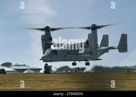 Bell Boeing V-22 Osprey, Bell Boeing V-22 Osprey décollage à culdrose, hélicoptère avec les performances de croisière à grande vitesse à long terme. L'Osprey est le premier avion de production Tiltrotor au monde, réputé pour être dangereux et peu fiable, en partie grâce aux défis inhérents à sa conception de rotor d'inclinaison. ,Credit: kathleen White/Alamy Live News Banque D'Images