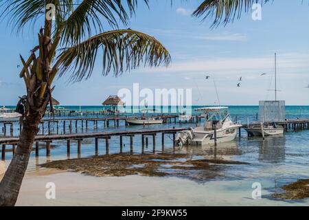 CAYE CAULKER, BELIZE - 2 MARS 2016: Vue sur les jetées dans le village de Caye Caulker, Belize Banque D'Images