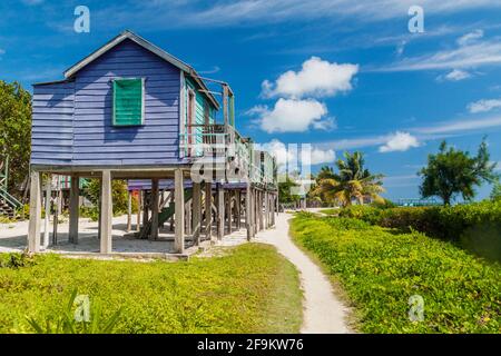 Maisons en bois sur pilotis à Caye Caulker Island, Belize Banque D'Images