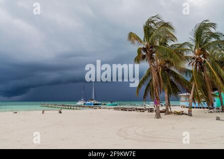 Palmiers et plage dans le village de Caye Caulker, Belize. La tempête arrive. Banque D'Images