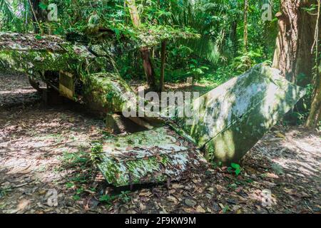 Épave d'avion dans le sanctuaire de la vie sauvage du bassin de Cockscomb, Belize. Cet avion s'est écrasé avec le Dr Alan Rabinowitz, biologiste étudiant jaguars. Banque D'Images