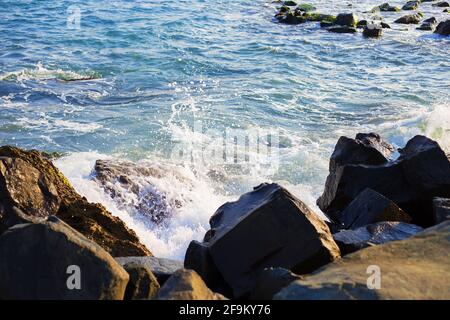 Côte de la mer de Stony de Bulgarie-soleil, mer, plage-gros plan. Banque D'Images