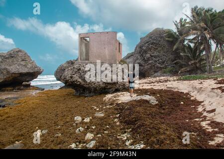 Homme blanc marchant vers les ruines d'un bâtiment en béton rose sale sur une formation de roche sur la plage de Bathsheba, à la Barbade, pendant la journée. Nuages épais. Banque D'Images