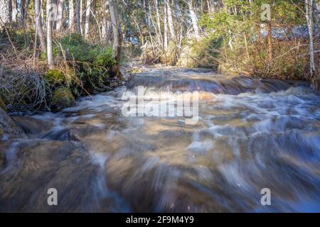 De l'eau de neige fondue dans Forest creek traverse la forêt scandinave. Jour de printemps ensoleillé. Longue exposition pour une eau fluide. Suède, Europe Banque D'Images