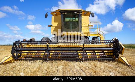 Moissonneuse-batteuse dans les champs des agriculteurs locaux de l'Ontario prêts à récolter la récolte. Banque D'Images