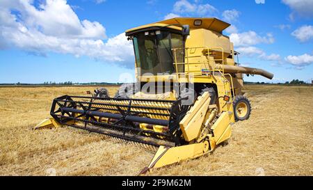 Moissonneuse-batteuse dans les champs des agriculteurs locaux de l'Ontario prêts à récolter la récolte. Banque D'Images