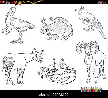 Dessin animé noir et blanc représentant un ensemble de personnages de bande dessinée pour animaux page de livre de coloriage Illustration de Vecteur