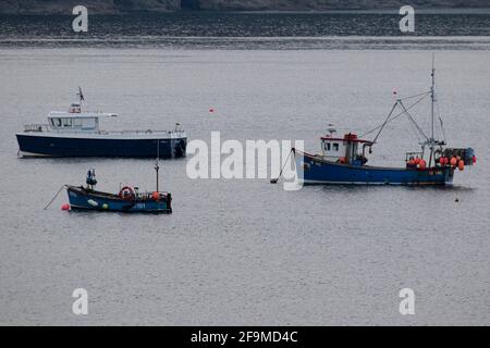 Bateaux amarrés au large du port de Tenby, Pembrokeshire, pays de Galles, le 19 avril 2021. Crédit : Lewis Mitchell Banque D'Images