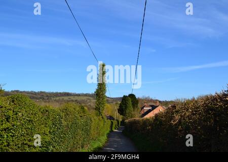 Vue sur Water Lane, Shoreham, Kent, une ancienne allée avec de vieux cottages et de charmants jardins. Avril, beau sec mais temps froid. Banque D'Images