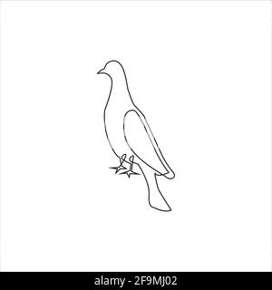 Dessin de ligne pigeon tatouage.Pigeon Bird dessin d'une ligne à la main art continu, illustration vectorielle. Dessin libre d'oiseau. Isolé. Minimali Illustration de Vecteur