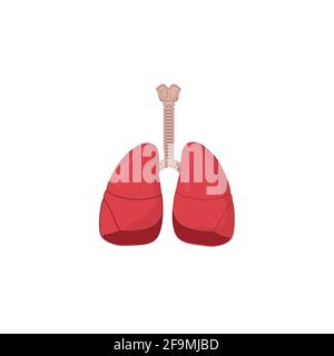 Illustration vectorielle de l'icône du système respiratoire humain isolée sur fond blanc. Respirer, bronches, bronchioles, bronches, poumons, icône poumons pour médical Illustration de Vecteur