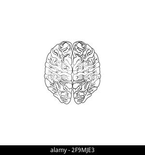 Vecteur d'icône de la ligne de cerveau humain minimaliste moderne. Cerveau simple de l'icône de contour humain. Vue de dessus symbole cerveau isolé sur fond blanc. Illustration de Vecteur