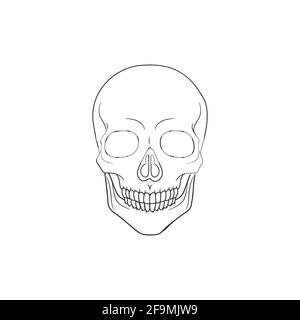 Illustration vectorielle de l'icône ModernHuman Skull Line. Squelette simple de l'icône de contour de tête pour halloween concept. Symbole crâne isolé Illustration de Vecteur