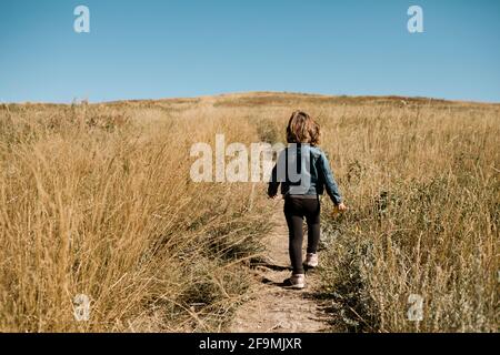 Jeune fille marchant sur un chemin dans un domaine de herbe haute à l'automne Banque D'Images