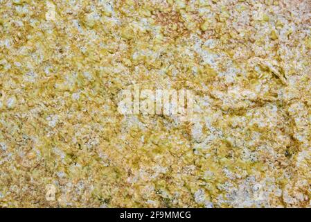 Vert et brun Terre colorée par des bactéries dans le parc de Yellowstone Banque D'Images