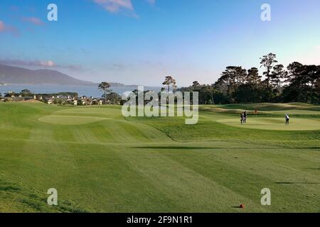 Pebble Beach, États-Unis. 12 février 2013. Paysages du Hay par trois parcours, redessiné par le grand gagnant TIGER WOODS, lors de son inauguration à Pebble Beach, Californie, États-Unis crédit: Motofoto/Alay Live News Banque D'Images