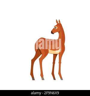 Cerf de Virginie debout dans un champ. Illustration vectorielle de dessin de style dessin animé à plat isolée sur un fond blanc Illustration de Vecteur