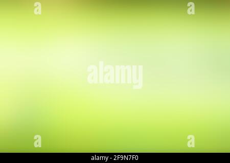 Fond abstrait dégradé vert pâle Banque D'Images