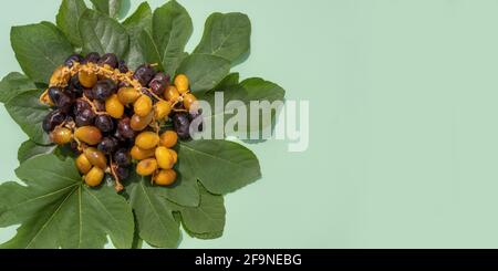 Festival islamique religieux et mois Saint du Ramadan, EID KAREEM, concept: Beaucoup de fruits secs doux de couleur brune et jaune sur des feuilles de figues vertes Banque D'Images