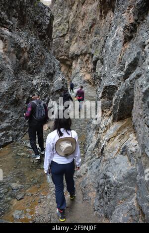 Touristes marchant dans la vallée de Yol / Yoliin / Yolyn am '(Vulture Alley'), une gorge dans le parc national de Gurvan Saikhan, montagnes de l'Altaï, Omnogovi, Mongolie. Banque D'Images