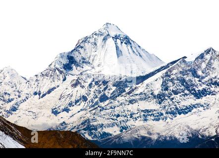 Vue panoramique du mont Dhaulagiri isolé sur fond blanc, montagnes du Népal himalaya Banque D'Images