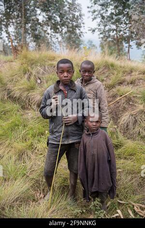 Village traditionnel de Pygmy, Parc national de Kibira, Burundi, Afrique Banque D'Images