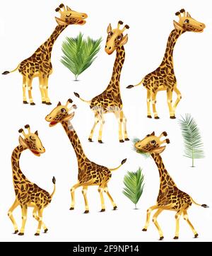 Giraffe, personnage de dessin animé, sous différents angles. Animaux africains mignons et feuilles tropicales. Illustration vectorielle. Illustration de Vecteur