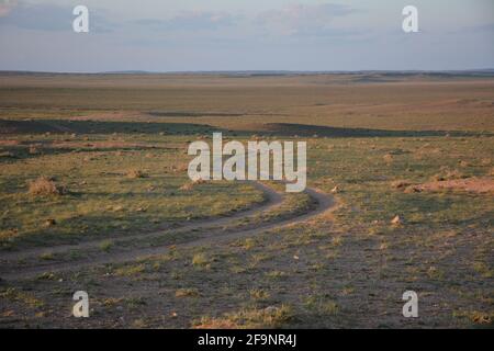 Des traces de pneus dans la région de Bayanzag / Flaming Cliffs du désert de Gobi dans la province d'Ömnögovi en Mongolie, où d'importantes découvertes de fossiles ont été faites. Banque D'Images