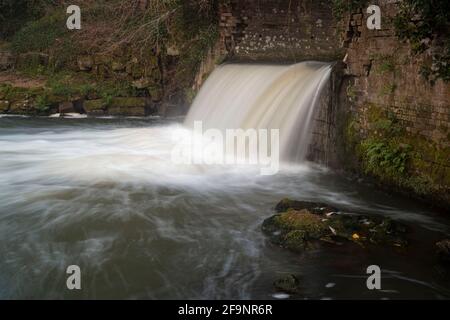 Débordement de la rivière Medway, près de Tonbridge dans le Kent, qui traverse les terres agricoles Banque D'Images