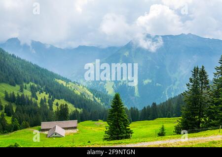 vue sur un pâturage alpin au liechtenstein. Banque D'Images