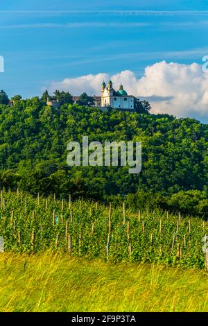 vignobles et église de saint léopold situé sur leopoldsberg à proximité vienne Banque D'Images