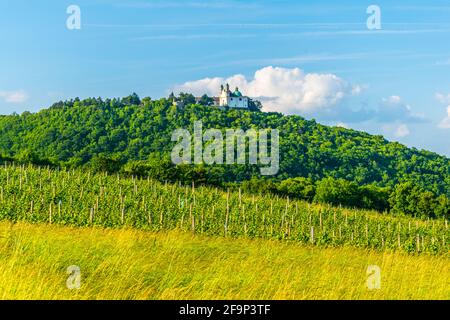 vignobles et église de saint léopold situé sur leopoldsberg à proximité vienne Banque D'Images