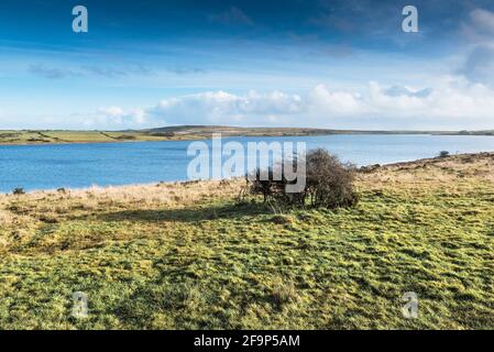 Soleil d'hiver au-dessus du lac Colliford sur Bodmin Moor, dans les Cornouailles. Banque D'Images