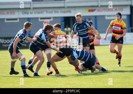 BEDFORD, ANGLETERRE - 17 AVRIL : le rugby Wwill Kaye Richmond tente de briser la défense de Bedford Blues lors du match de championnat Greene King IPA entre Bedford Blues et Richmond Rugby au stade de Goldington Road le 17 avril 2021 Banque D'Images