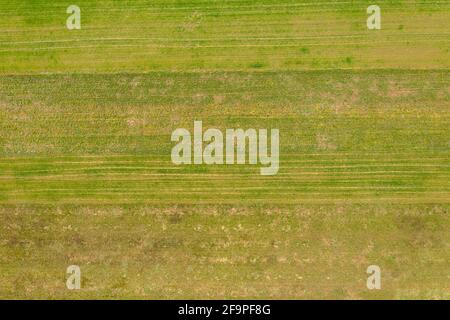 Kiskartyán, Hongrie - vue aérienne sur le champ agricole cultivé à la campagne, texture agricole. Banque D'Images