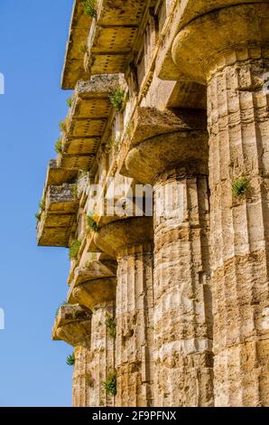 Vue détaillée du temple de Nettuno situé dans la ruine antique Complexe à Paestum Banque D'Images