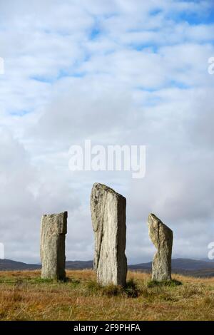 Pierres préhistoriques de Tursachan à Callanish, île de Lewis, Écosse. Aka Callanish I. les pierres de l'avenue nord montrent la texture de granit du gneiss de Lewisian Banque D'Images